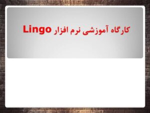 کارگاه آموزشی نرم افزار Lingo