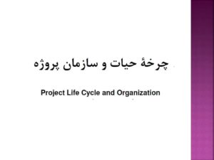 چرخه حیات و سازمان پروژه