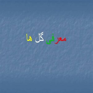 پاورپوینت معرفی گل ها